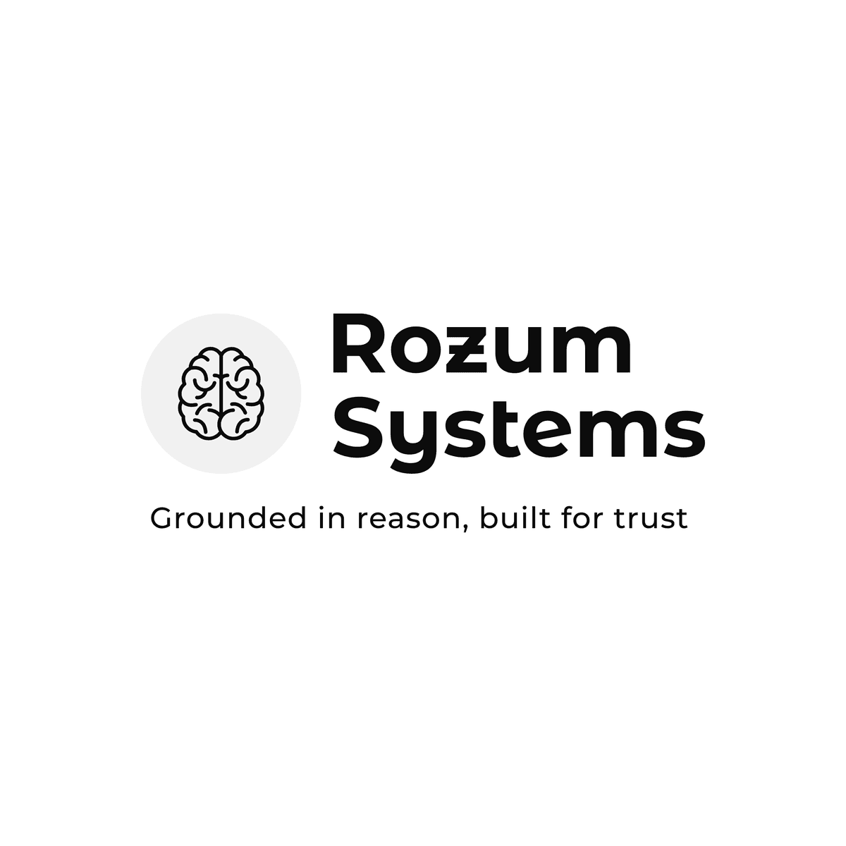 Rozum Systems - Technology Company